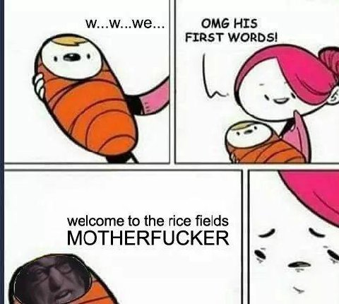 OMG HIS FIRST WORDS! welcome to the rice fields MOTHERFUCKER