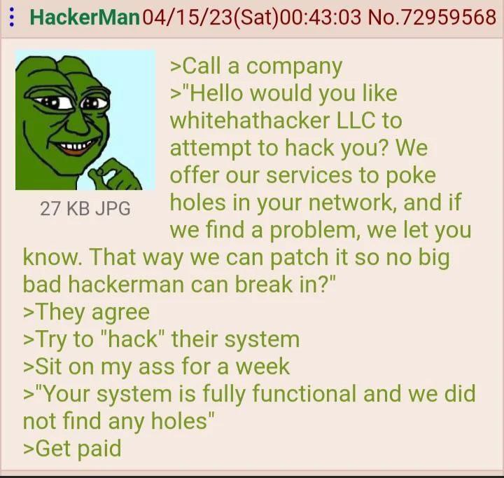 HackerMan04/15/23(Sat)00:43:03 No.72959568 >Call a company >"Hello would you like whitehathacker LLC to attempt to hack you? We offer our services to poke 27 JPG holes in your network, and if we find 