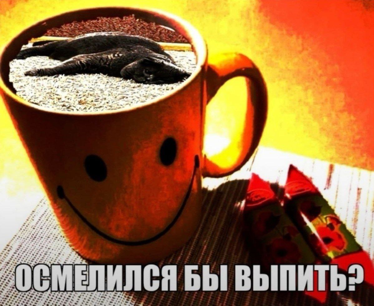 “4 ОСМЕЛИЛСЯ БЫ ВЫПИТЬ?