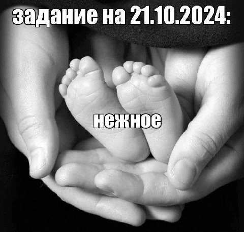 задание на 21.10.2024: