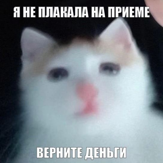 Я НЕ ПЛАКАЛА НА ПРИЕМЕ ВЕРНИТЕ ДЕНЬГИ