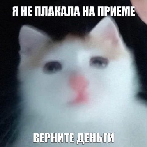 Я НЕ ПЛАКАЛА НА ПРИЕМЕ ВЕРНИТЕ ДЕНЬГИ