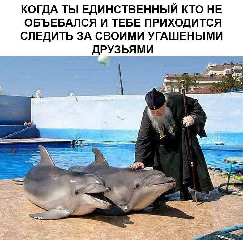 это я всегда...