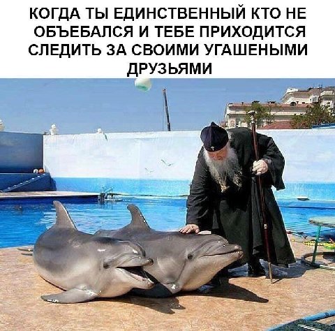 это я всегда...