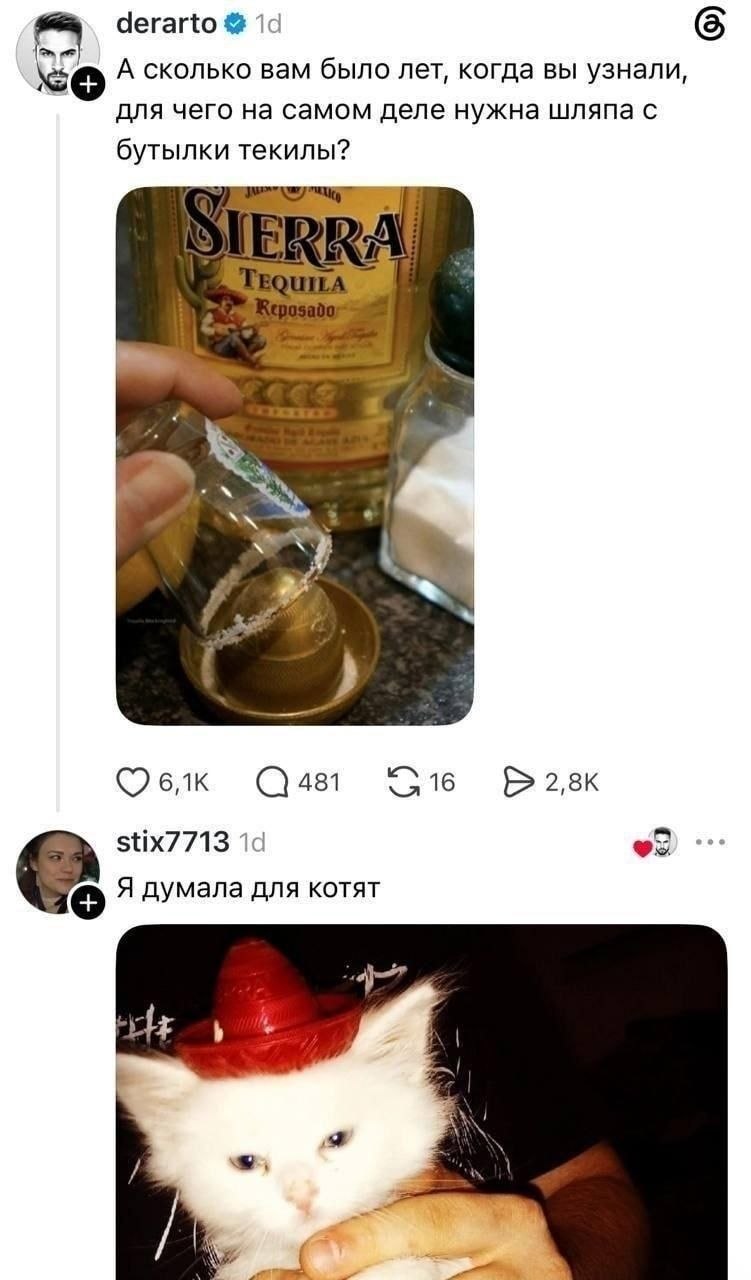 derarto 5 А сколько вам было лет, когда вы узнали, для чего на самом деле нужна шляпа с бутылки текилы? QUILA [28к stix7713 Я думала для котят