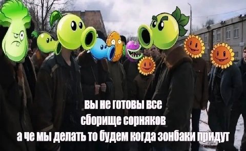 a вы He готовы все сборище сорняков ачемы делать то будем когда зонбаки придут