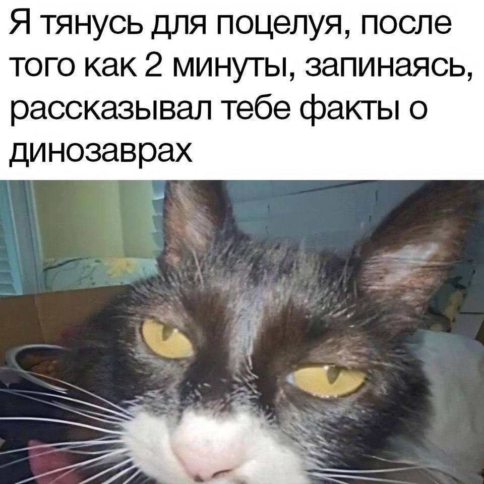 Я тянусь для поцелуя, после того как 2 минуты, запинаясь, рассказывал тебе факты о динозаврах