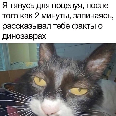 Я тянусь для поцелуя, после того как 2 минуты, запинаясь, рассказывал тебе факты о динозаврах
