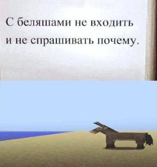 С беляшами не входить и не спрашивать почему.