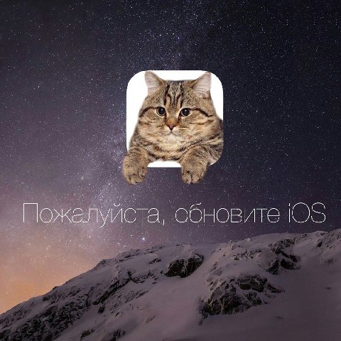 Пожалуйста, обновите