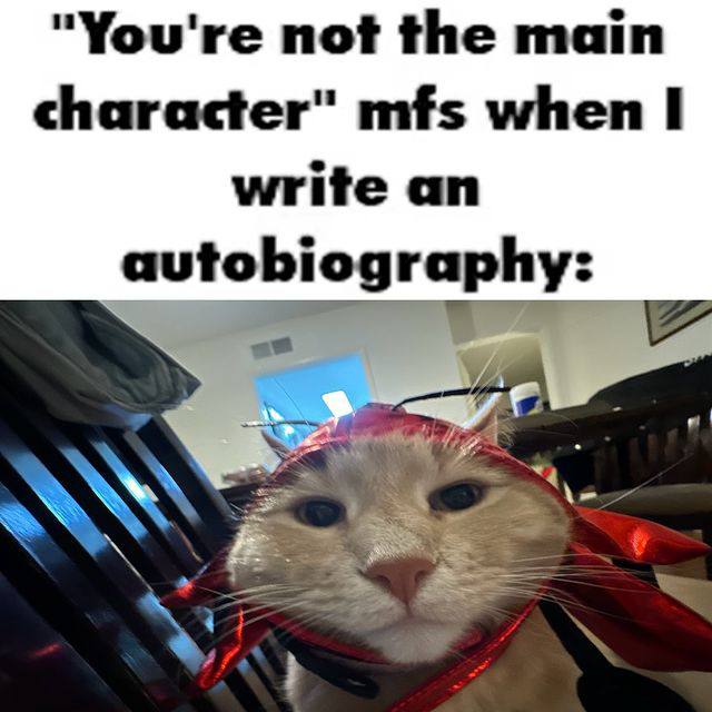 "You're not the main character" mfs when I write an autobiography: A 3