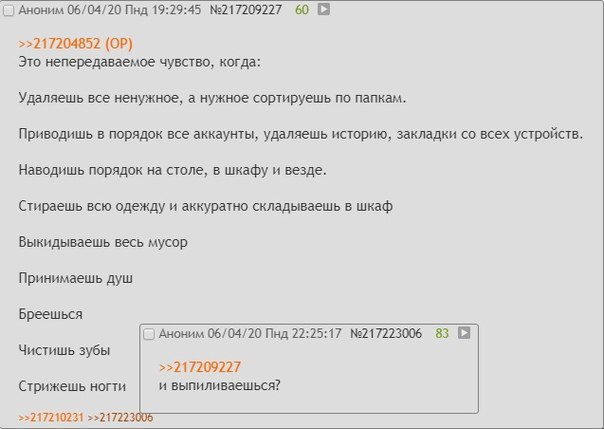 Аноним 06/04/20 Пнд 19:29:45 №217209227 60 >>217204852 Это непередаваемое чувство, когда: Удаляешь все ненужное, а нужное сортируешь по папкам. Приводишь в порядок все аккаунты, удаляешь историю, закл