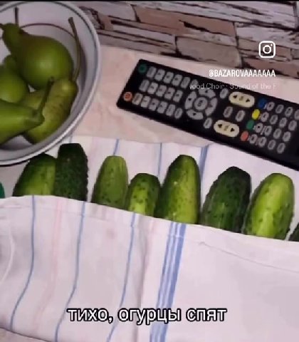 TUONO, отуртЬ от ПИХоХопурЩьетяи
