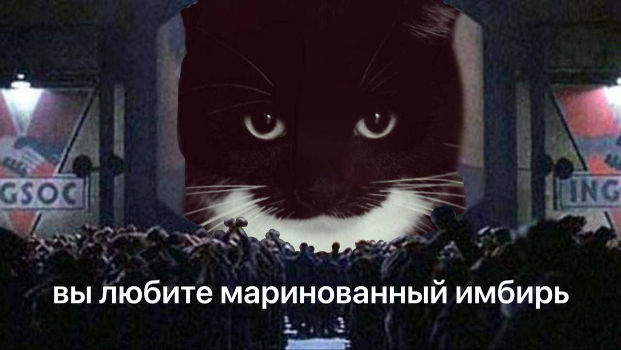 вы Любите маринованный имбирь