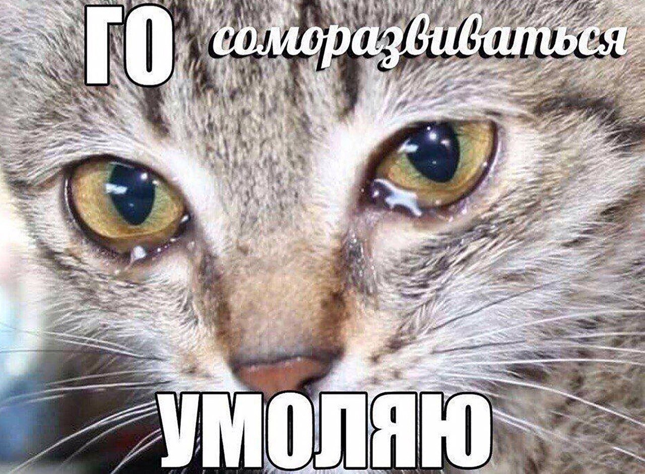 [6 Wee 3 ЛЯЮ