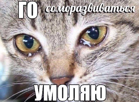[6 Wee 3 ЛЯЮ