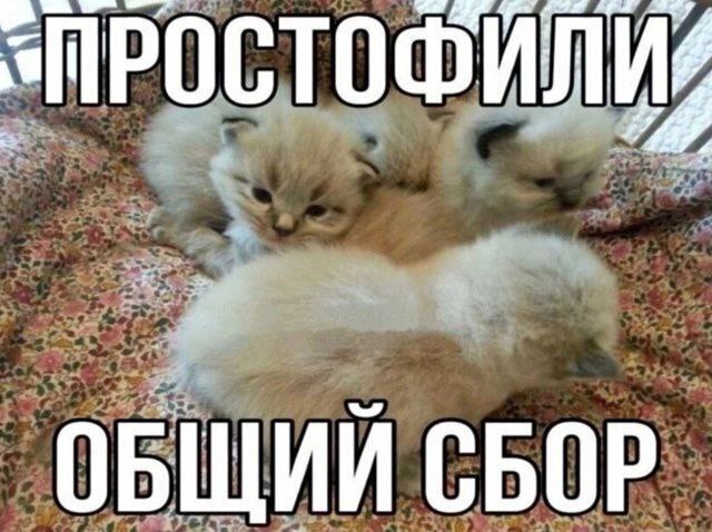 ОБЩИЙ СБОР