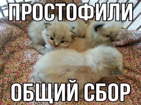 ОБЩИЙ СБОР