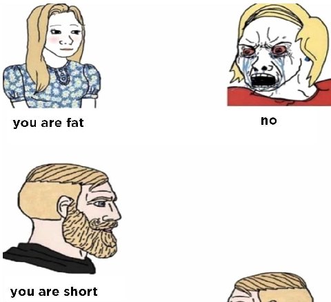 you are fat no you are short