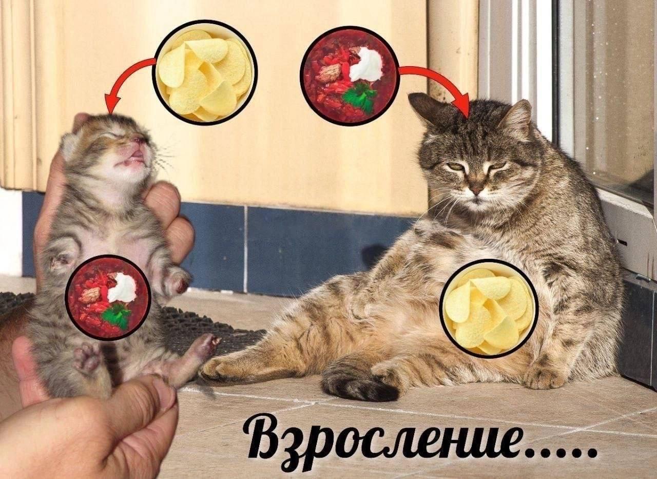Взросление