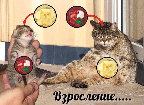 Взросление