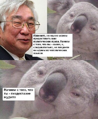 Я, Извините, но мы не можем предоставить вам политические права. Начнем с того, что вы коала, и, следовательно, не владеете ни одним из человеческих языков 4 ‘a 4 a у a Начнем с того, что ты пиздоглаз