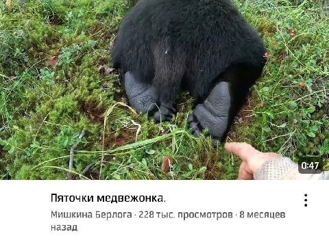 BE a 2) as ake $2} Kite A у My 24 47 Пяточки медвежонка. Мишкина Берлога 228 тыс. просмотров 8 месяцев назад