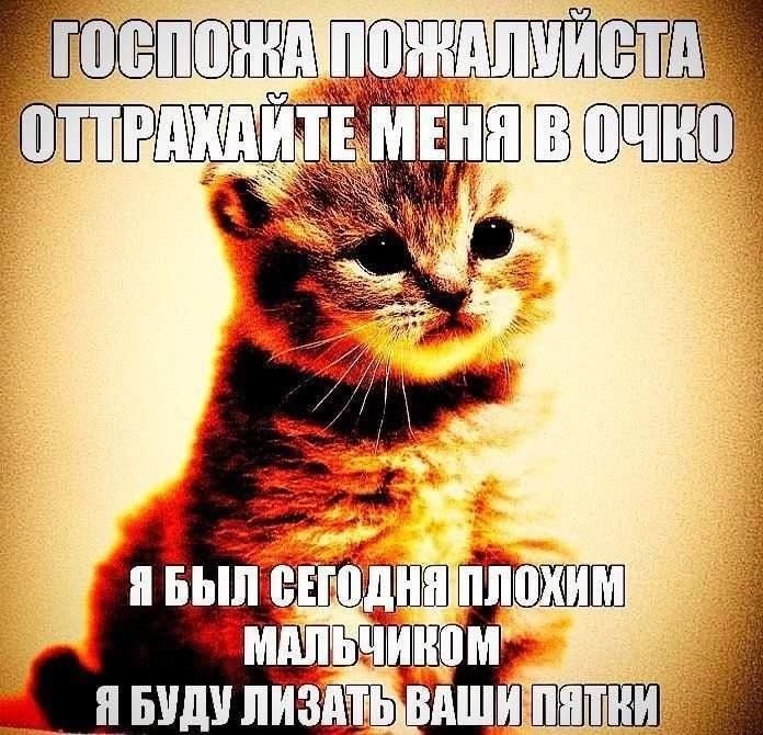 77) iN a2 ЯБЫЛ МАЛЬЧИКОМ” Я БУДУ
