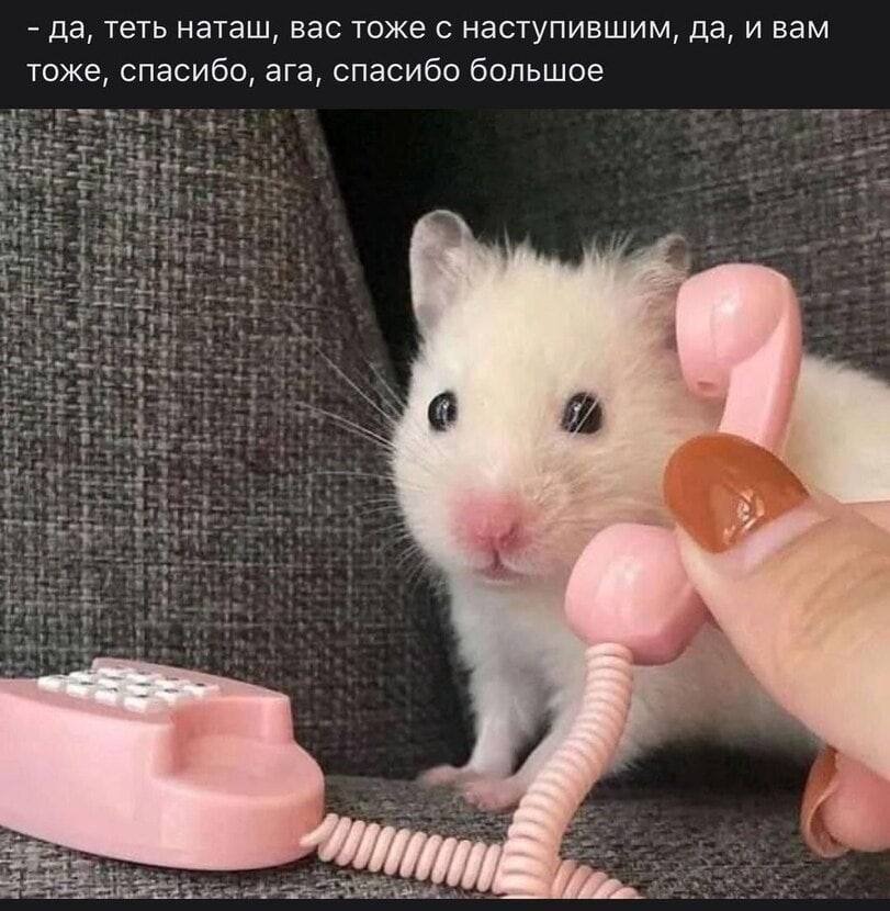 да, теть наташ, вас тоже с наступившим, да, и вам тоже, спасибо, ага, спасибо большое