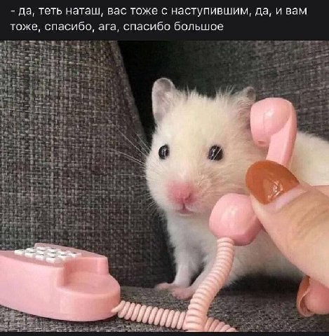 да, теть наташ, вас тоже с наступившим, да, и вам тоже, спасибо, ага, спасибо большое