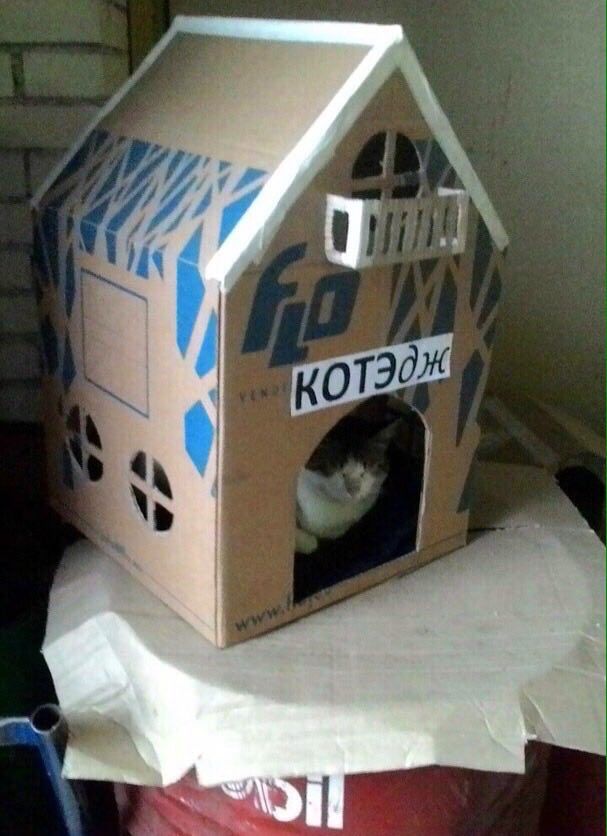 у