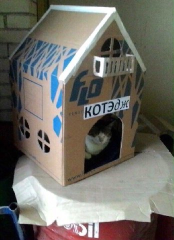 у