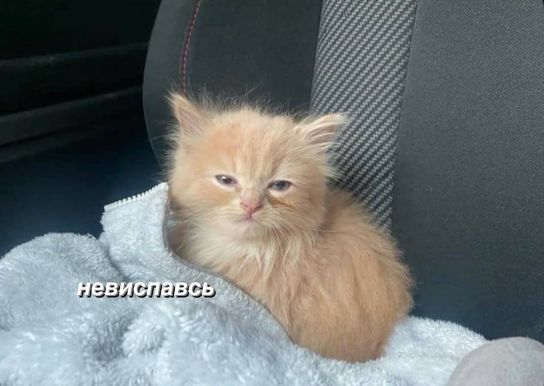 состояние