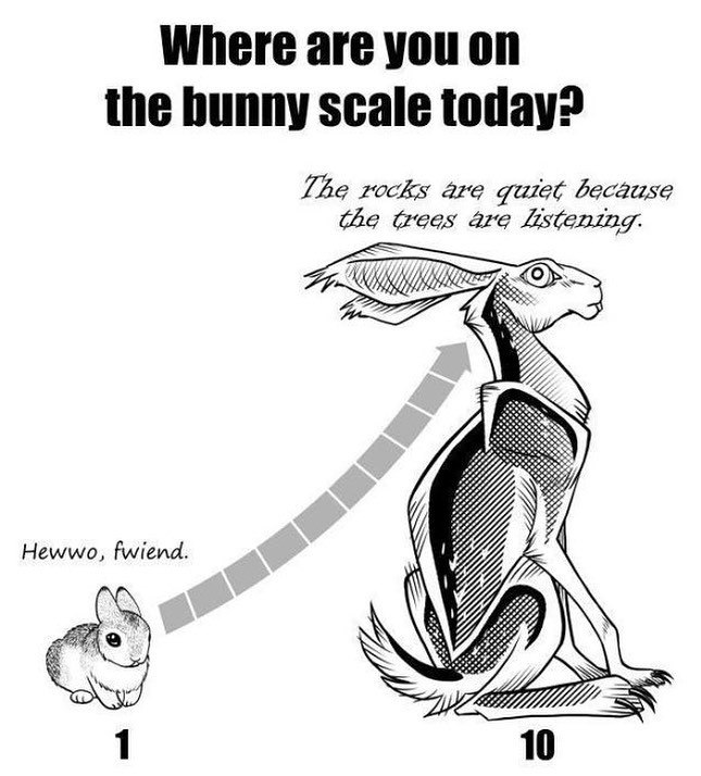 Where are you on the bunny scale today? The rocks are quiet because the wees are Hewwo, fwiend. 1 10