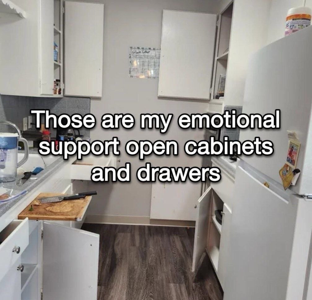 Those are my emotional _зиррой open cabinets and drawers