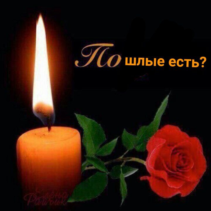шлые есть? 4