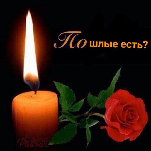 шлые есть? 4