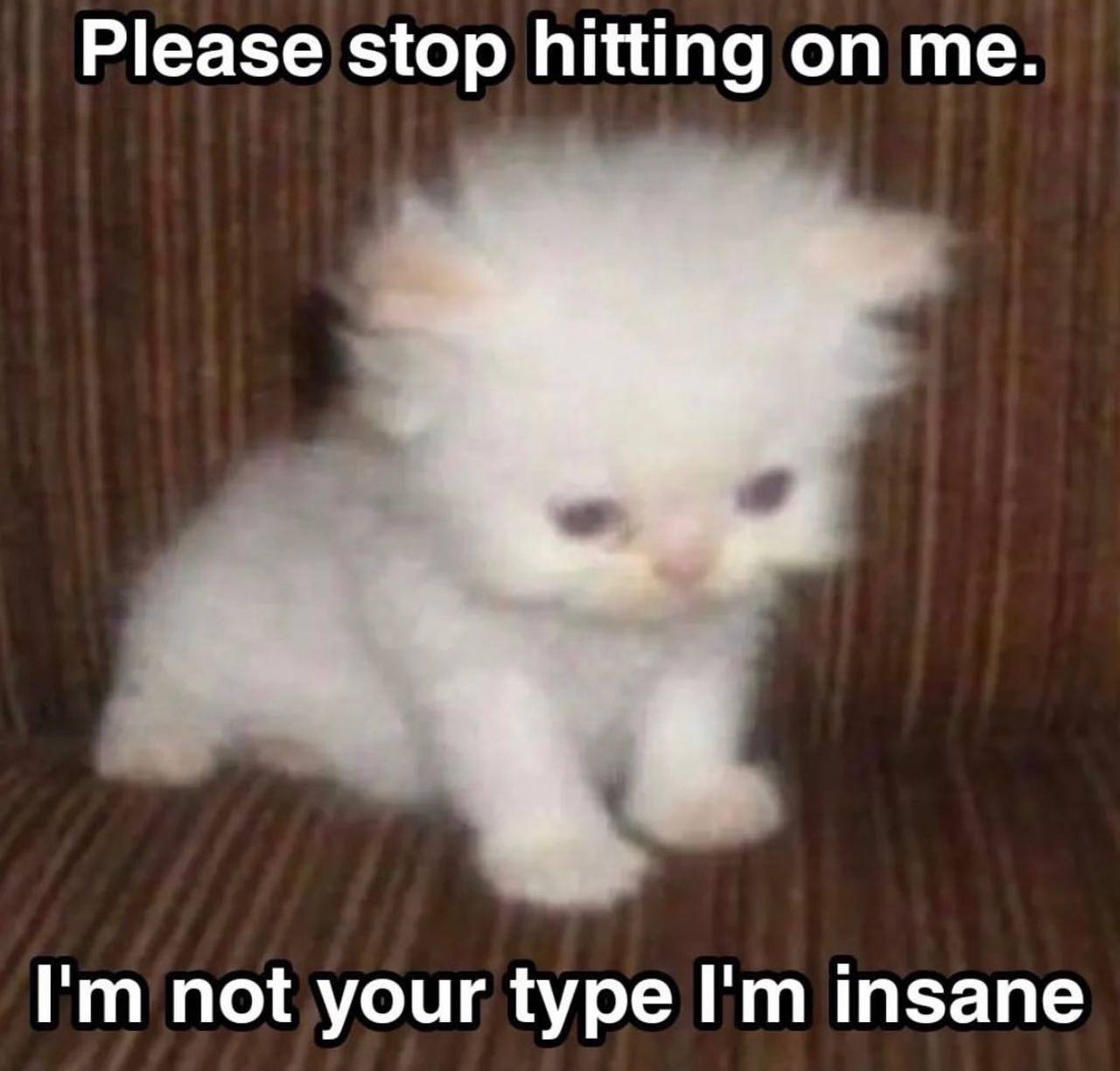 Please stop hitting on me. not your type insane