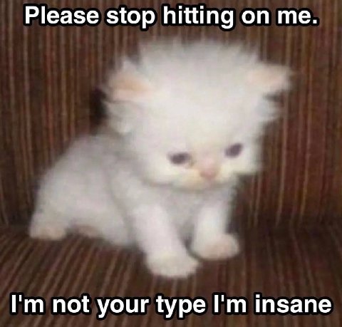Please stop hitting on me. not your type insane