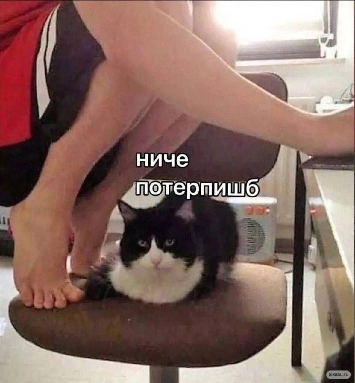 ниче потерпишб “4
