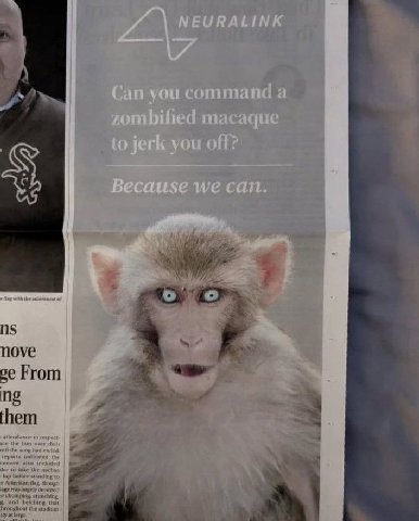 Can you command a zombified macaque to jerk you off? Because we can. Rng the of ove From hem the over the Вад ended. to