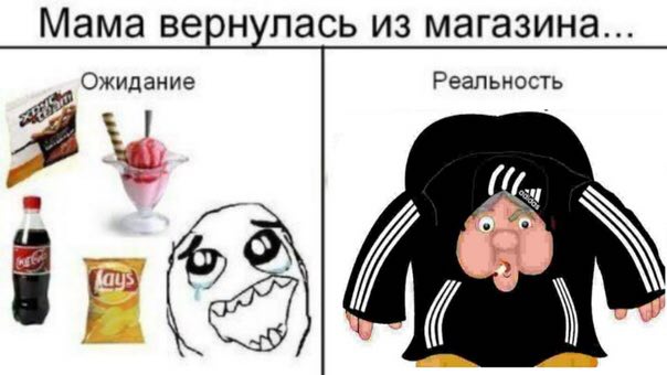 Мама вернулась из магазина... Ожидание Реальность