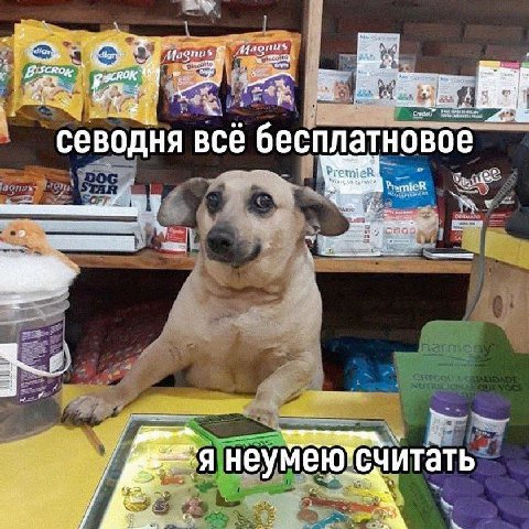 fim 0$ А yoy $77 9 Я всё бесплатновое все оесплатно FremicR к STAR So у i if 3 i a у у Я считать“ У 4 8 4