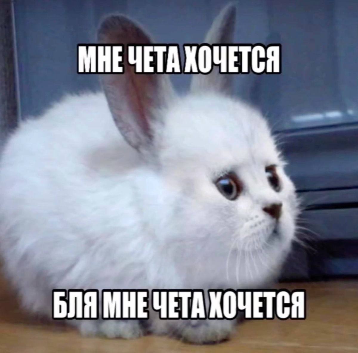 МНЕЧЕТА ХОЧЕТСЯ БЛЯ ХОЧЕТСЯ