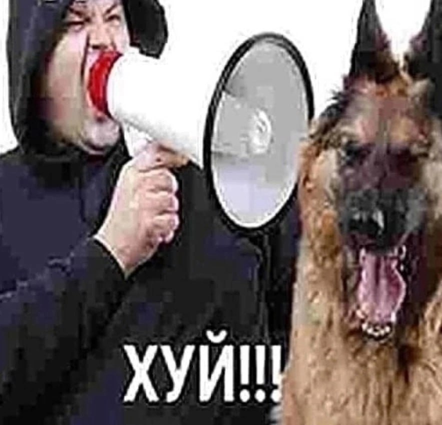 4 у