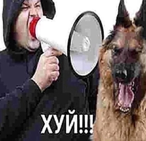 4 у