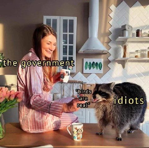 ‘the ment К bird a idiots real