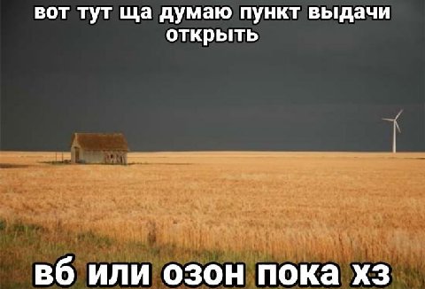 вот тут думаю пункт выдачи открыть или озон пока