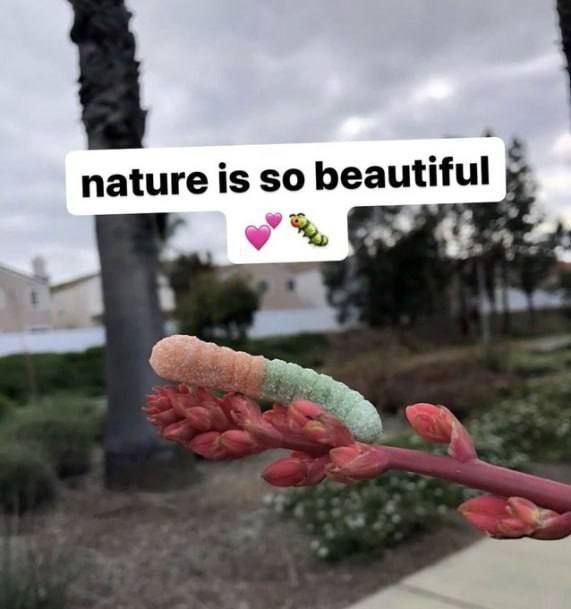 nature is so beautiful