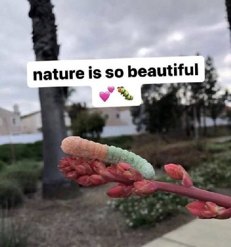 nature is so beautiful